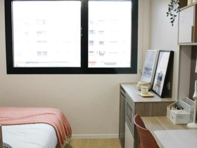 Alquiler 1 Dormitorio Shared Living/Roommate Pamplona Pamplona DLS102854861