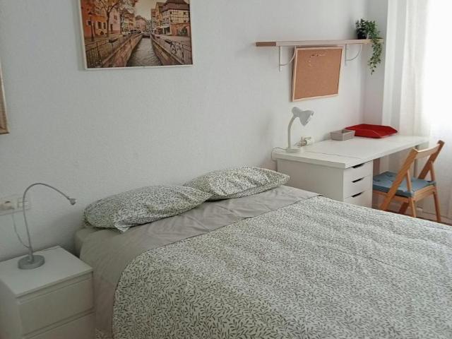 Alquiler 1 Dormitorio Shared Living/Roommate Pamplona Pamplona DLS103012552