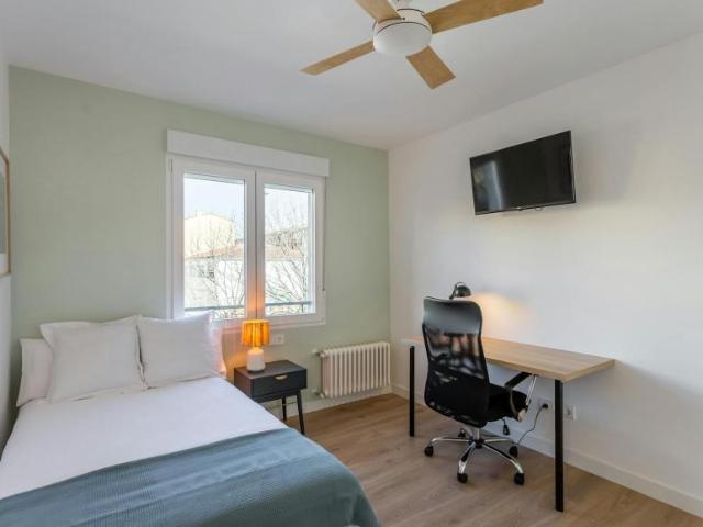 Alquiler 1 Dormitorio Shared Living/Roommate Pamplona Pamplona DS104784093