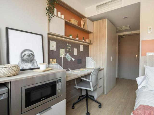 Alquiler 1 Dormitorio Shared Living/Roommate Pamplona Pamplona DS105048774