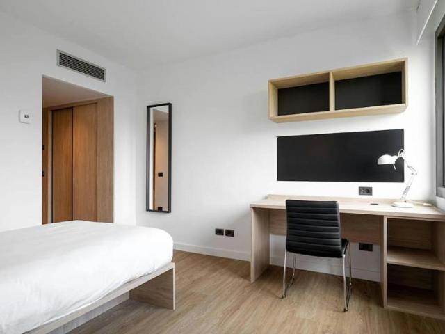 Alquiler 1 Dormitorio Shared Living/Roommate Pamplona Pamplona DS102308687