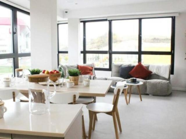 Alquiler 1 Dormitorio Shared Living/Roommate Pamplona Pamplona DS102854045
