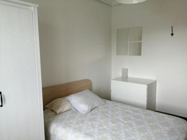 Alquiler 1 Dormitorio Shared Living/Roommate Pamplona Pamplona DS103696079