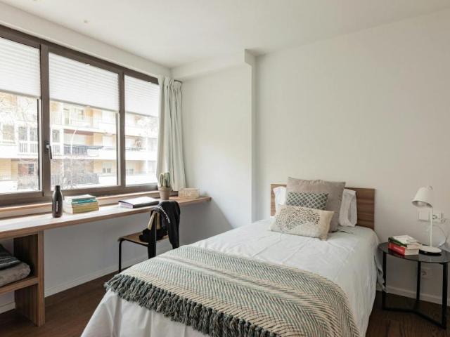 Alquiler 1 Dormitorio Shared Living/Roommate Pamplona Pamplona DS91455400