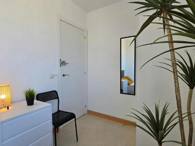 Alquiler 1 Dormitorio Shared Living/Roommate Parla Parla DLS100715788