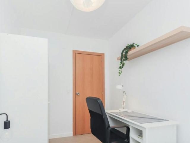 Alquiler 1 Dormitorio Shared Living/Roommate Reus Reus DLS101845374