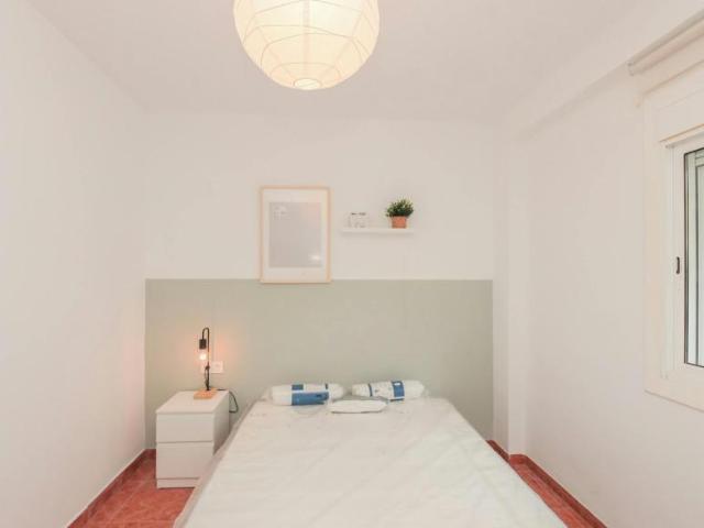 Alquiler 1 Dormitorio Shared Living/Roommate Reus Reus DLS102852772