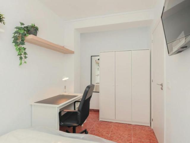 Alquiler 1 Dormitorio Shared Living/Roommate Reus Reus DS102852774