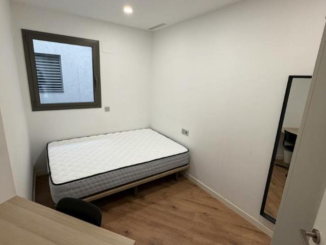 Alquiler 1 Dormitorio Shared Living/Roommate Sabadell Sabadell DS104783308