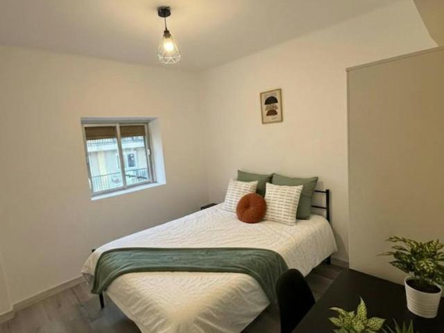 Alquiler 1 Dormitorio Shared Living/Roommate Salamanca Salamanca DLS99374030