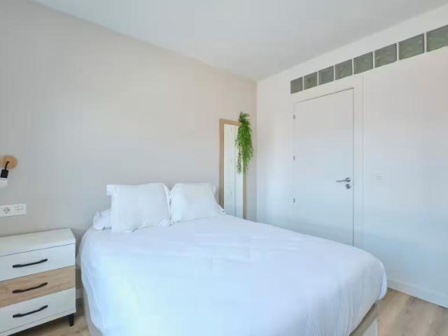 Alquiler 1 Dormitorio Shared Living/Roommate Salamanca Salamanca DS95919556