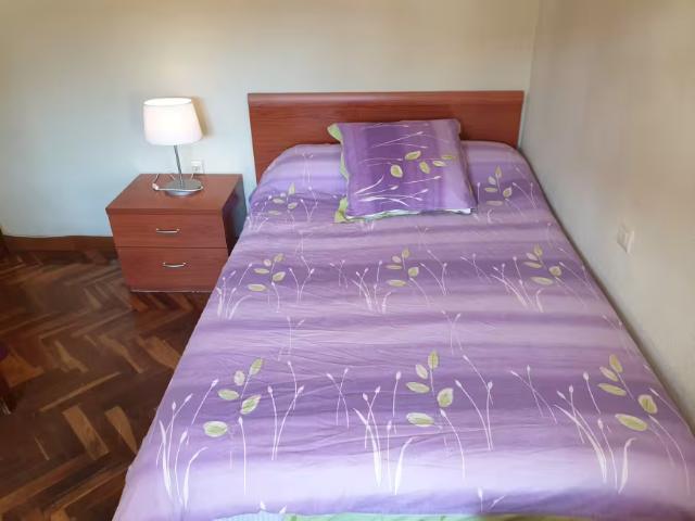 Alquiler 1 Dormitorio Shared Living/Roommate Salamanca Salamanca DS95926165