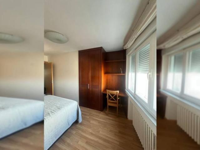 Alquiler 1 Dormitorio Shared Living/Roommate Salamanca Salamanca DS98295153