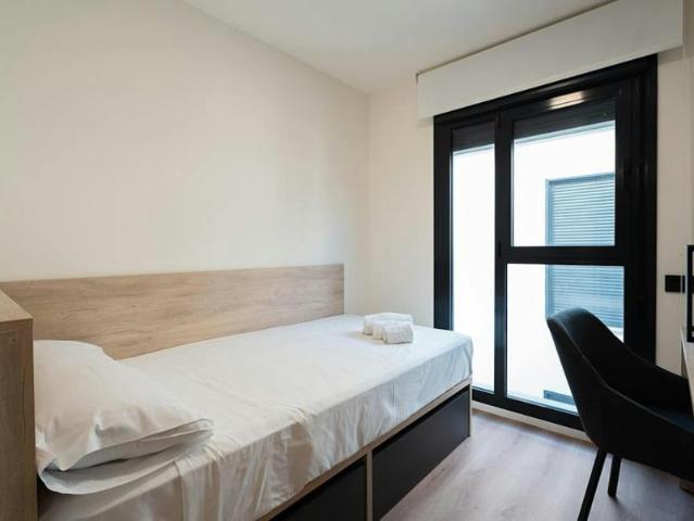 Alquiler 1 Dormitorio Shared Living/Roommate San Vicent Del Raspeig San Vicent Del Raspeig DLS93496735