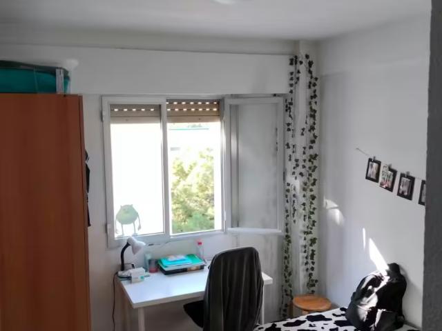 Alquiler 1 Dormitorio Shared Living/Roommate San Vicent Del Raspeig San Vicent Del Raspeig DLS97382309