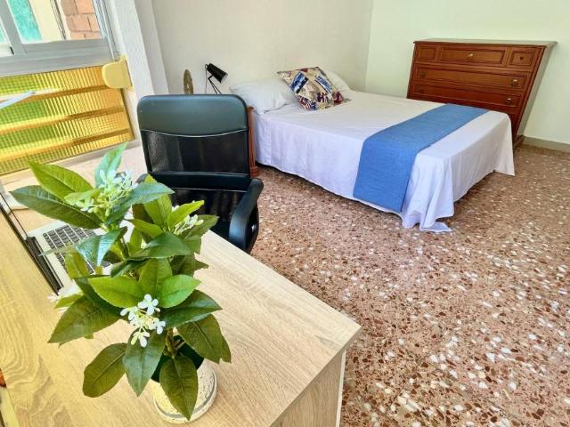 Alquiler 1 Dormitorio Shared Living/Roommate San Vicent Del Raspeig San Vicent Del Raspeig DS100674296