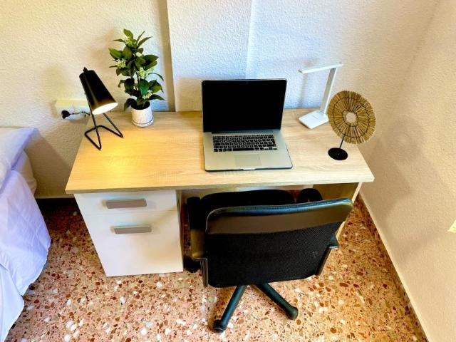 Alquiler 1 Dormitorio Shared Living/Roommate San Vicent Del Raspeig San Vicent Del Raspeig DS102814788