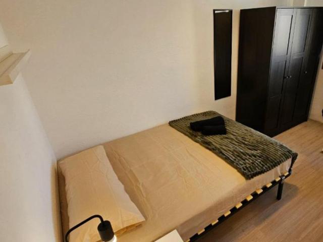 Alquiler 1 Dormitorio Shared Living/Roommate San Vicent Del Raspeig San Vicent Del Raspeig DS103396689