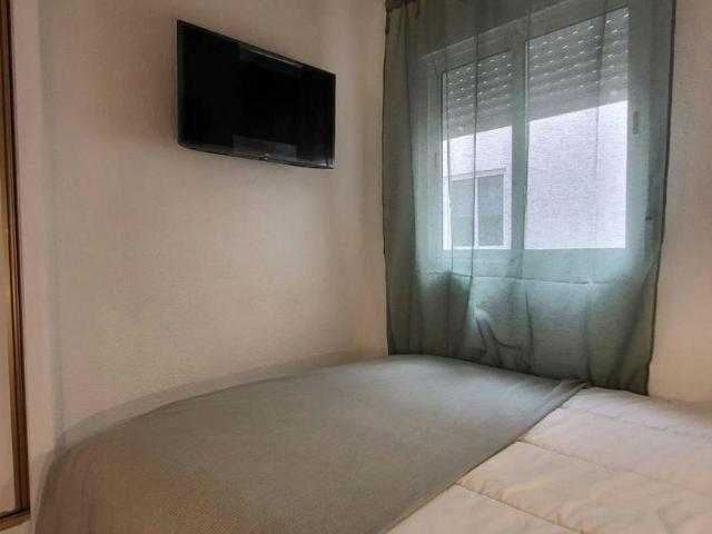 Alquiler 1 Dormitorio Shared Living/Roommate San Vicent Del Raspeig San Vicent Del Raspeig DS103396747