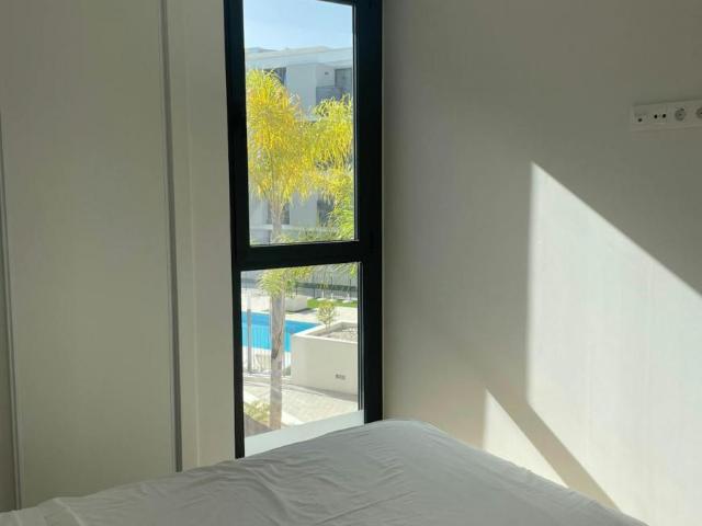 Alquiler 1 Dormitorio Shared Living/Roommate San Juan De Alicante San Juan De Alicante DS89734941