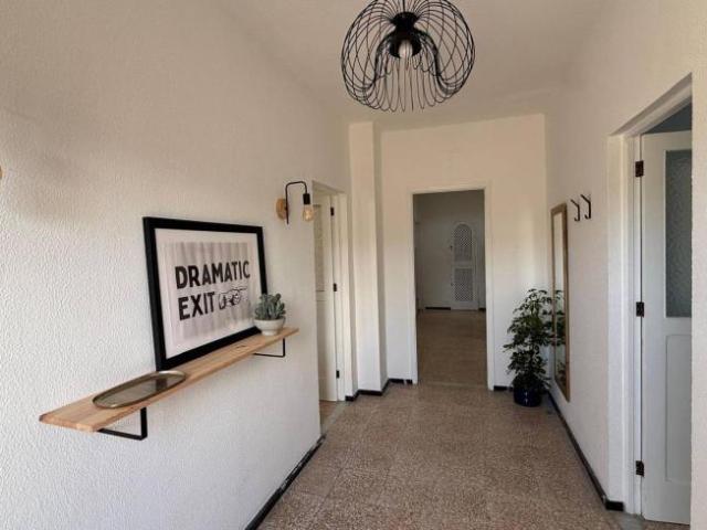 Alquiler 1 Dormitorio Shared Living/Roommate Santa Cruz De Tenerife Santa Cruz De Tenerife DS102115074