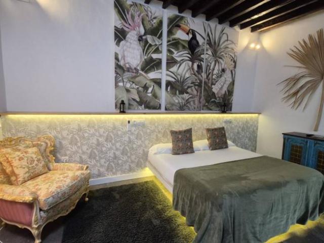 Alquiler 1 Dormitorio Shared Living/Roommate Santa Cruz De Tenerife Santa Cruz De Tenerife DS104684226