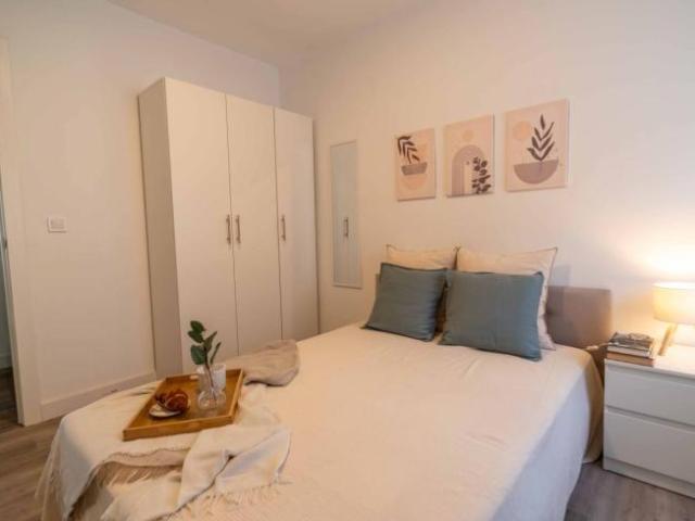 Alquiler 1 Dormitorio Shared Living/Roommate Santander Santander DS102438412