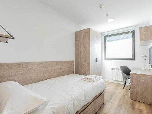 Alquiler 1 Dormitorio Shared Living/Roommate Santander Santander DS102308705