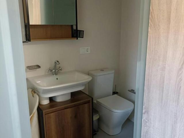 Alquiler 1 Dormitorio Shared Living/Roommate Santiago De Compostela Santiago De Compostela DS103338952