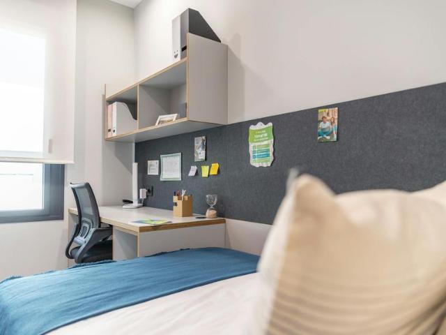 Alquiler 1 Dormitorio Shared Living/Roommate Sevilla Sevilla DLS95691722
