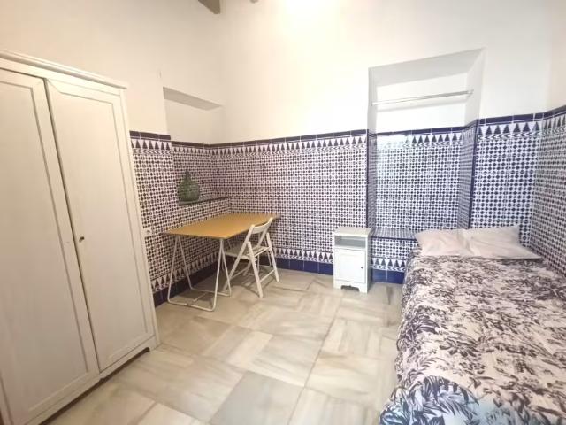 Alquiler 1 Dormitorio Shared Living/Roommate Sevilla Sevilla DLS95915310