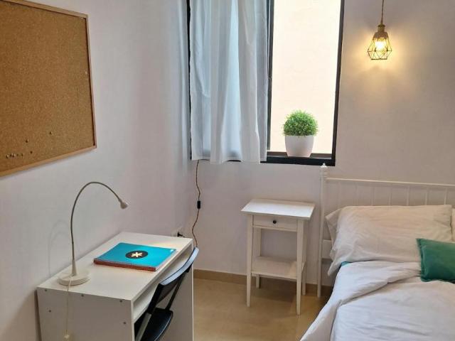 Alquiler 1 Dormitorio Shared Living/Roommate Sevilla Sevilla DLS100714424