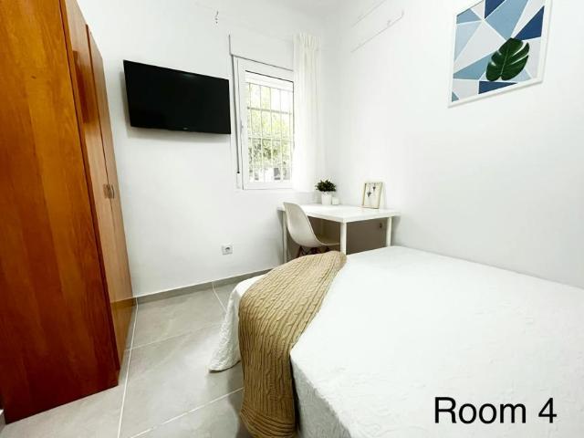 Alquiler 1 Dormitorio Shared Living/Roommate Sevilla Sevilla DLS100722114