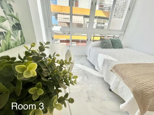 Alquiler 1 Dormitorio Shared Living/Roommate Sevilla Sevilla DLS100722135