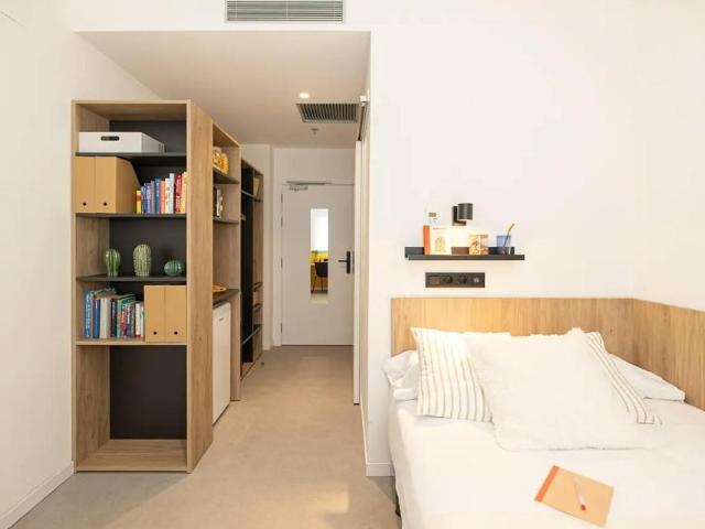Alquiler 1 Dormitorio Shared Living/Roommate Sevilla Sevilla DLS100729129