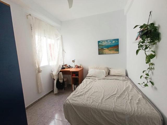 Alquiler 1 Dormitorio Shared Living/Roommate Sevilla Sevilla DLS100732868