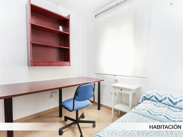 Alquiler 1 Dormitorio Shared Living/Roommate Sevilla Sevilla DLS101849691