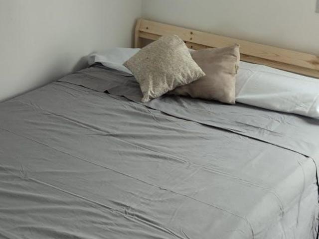 Alquiler 1 Dormitorio Shared Living/Roommate Sevilla Sevilla DLS101097943