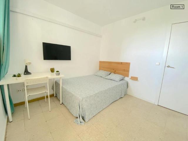 Alquiler 1 Dormitorio Shared Living/Roommate Sevilla Sevilla DLS102436390