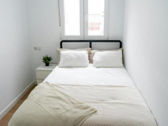 Alquiler 1 Dormitorio Shared Living/Roommate Sevilla Sevilla DLS102848270