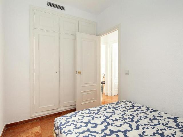 Alquiler 1 Dormitorio Shared Living/Roommate Sevilla Sevilla DLS102854016