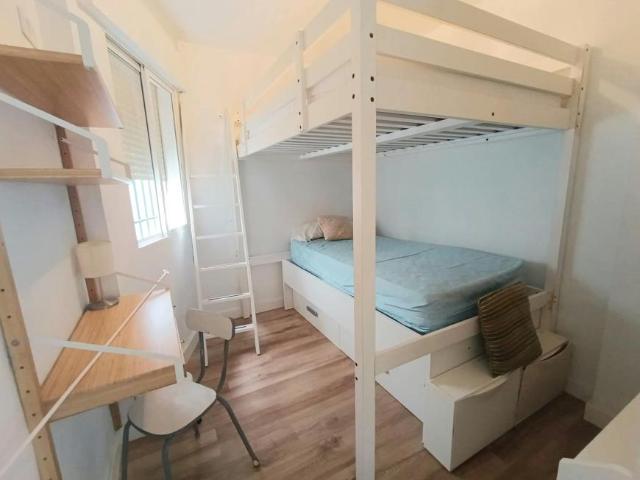 Alquiler 1 Dormitorio Shared Living/Roommate Sevilla Sevilla DS100011415