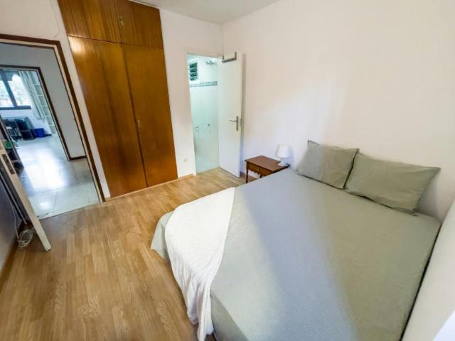 Alquiler 1 Dormitorio Shared Living/Roommate Sevilla Sevilla DS100715512