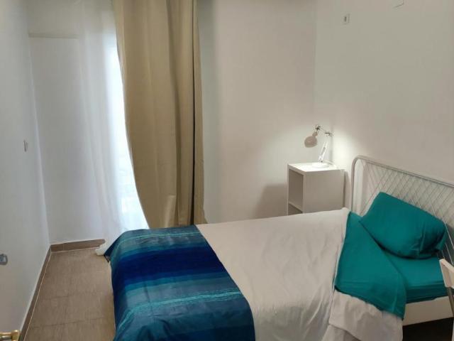 Alquiler 1 Dormitorio Shared Living/Roommate Sevilla Sevilla DS100718523