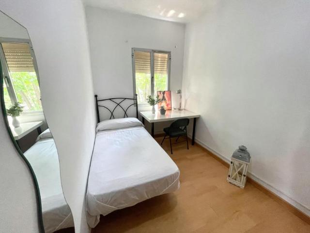 Alquiler 1 Dormitorio Shared Living/Roommate Sevilla Sevilla DS100719187