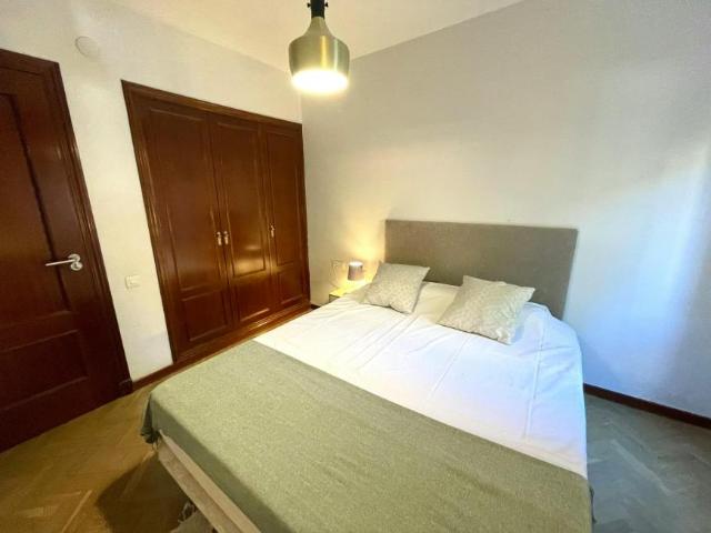 Alquiler 1 Dormitorio Shared Living/Roommate Sevilla Sevilla DS100719255