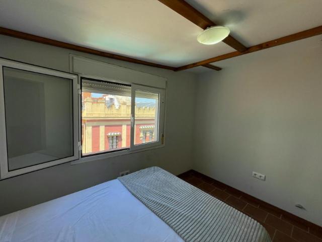 Alquiler 1 Dormitorio Shared Living/Roommate Sevilla Sevilla DS100719273