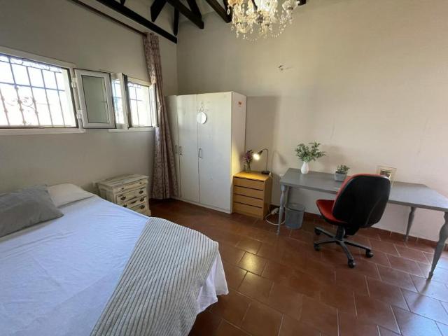 Alquiler 1 Dormitorio Shared Living/Roommate Sevilla Sevilla DS100719271