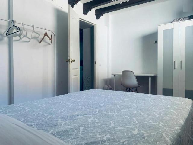 Alquiler 1 Dormitorio Shared Living/Roommate Sevilla Sevilla DS100719293
