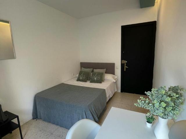 Alquiler 1 Dormitorio Shared Living/Roommate Sevilla Sevilla DS100719235